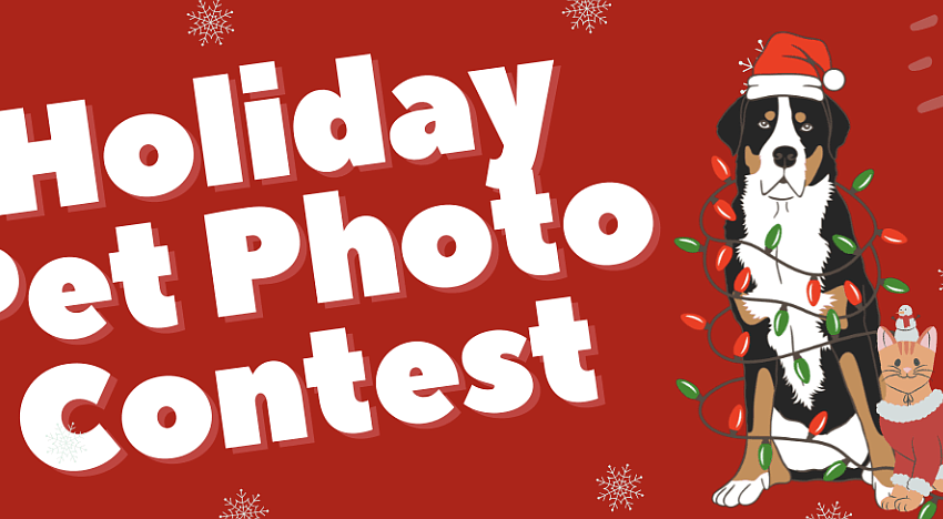 Access Network Holiday Pet Photo Contest: And the winners are…