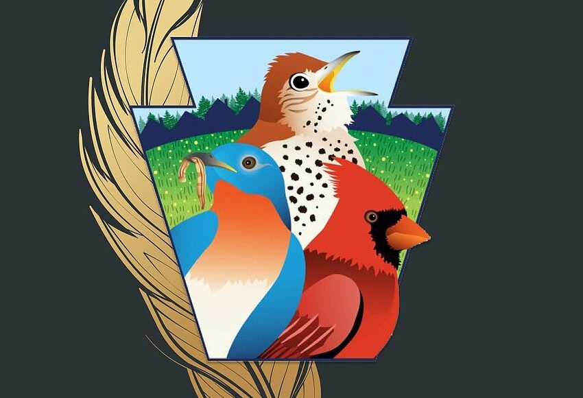 Upper Providence goes for the ‘gold’ when it comes to its birds